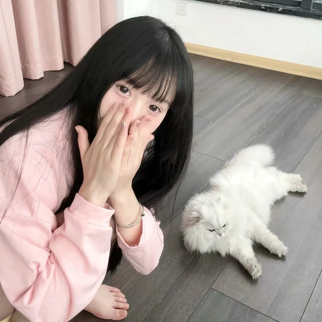 四条生命